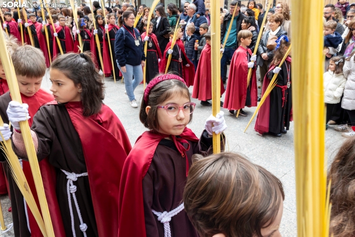 Entrada de Jesús en Jerusalén./ Viksar Fotografía