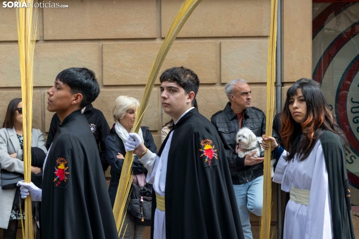 Entrada de Jesús en Jerusalén./ Viksar Fotografía