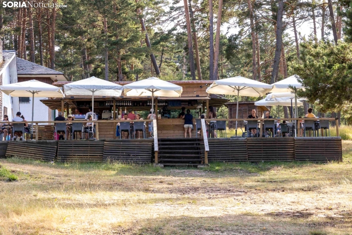 Verano en el pantano 2025./ Viksar Fotografía