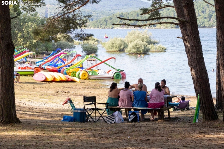 Verano en el pantano 2025./ Viksar Fotografía