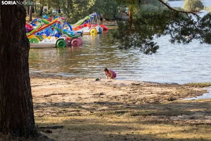 Verano en el pantano 2025./ Viksar Fotografía