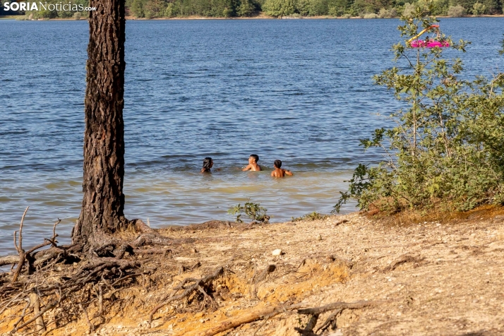 Verano en el pantano 2025./ Viksar Fotografía