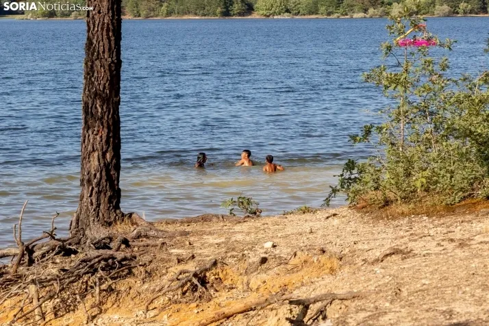 Verano en el pantano 2025./ Viksar Fotografía