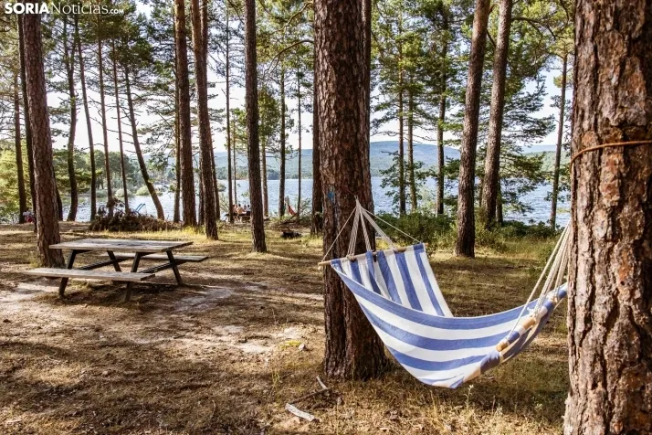 Verano en el pantano 2025./ Viksar Fotografía