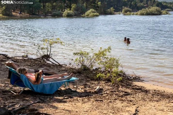 Verano en el pantano 2025./ Viksar Fotografía