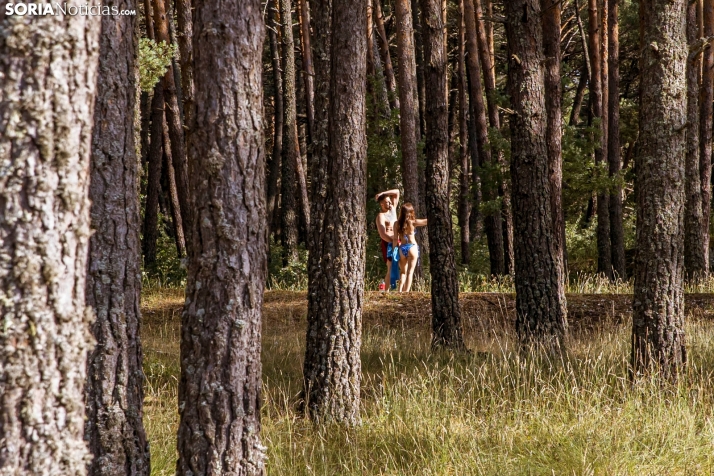 Verano en el pantano 2025./ Viksar Fotografía