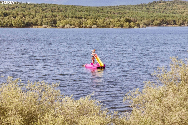 Verano en el pantano 2025./ Viksar Fotografía