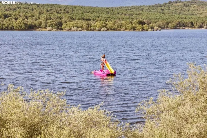 Verano en el pantano 2025./ Viksar Fotografía