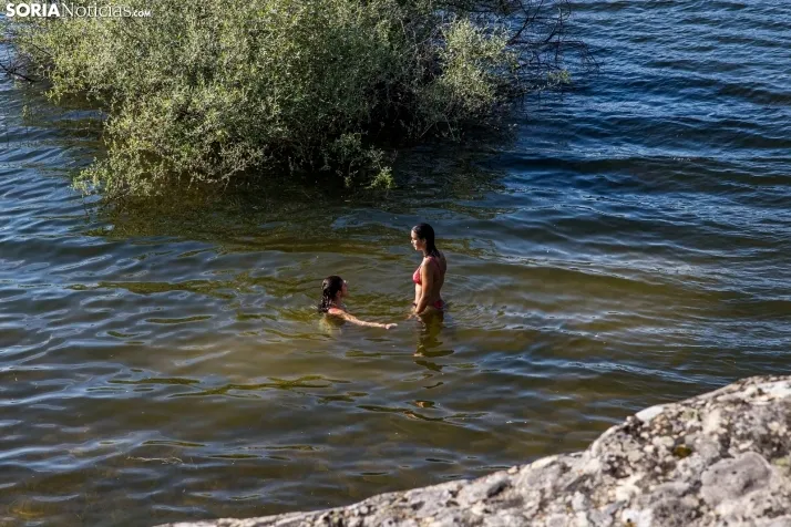 Verano en el pantano 2025./ Viksar Fotografía