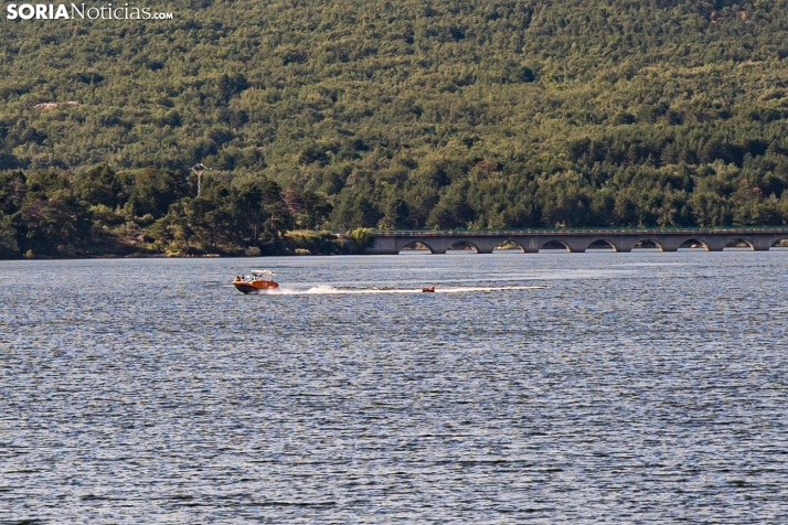 Verano en el pantano 2025./ Viksar Fotografía