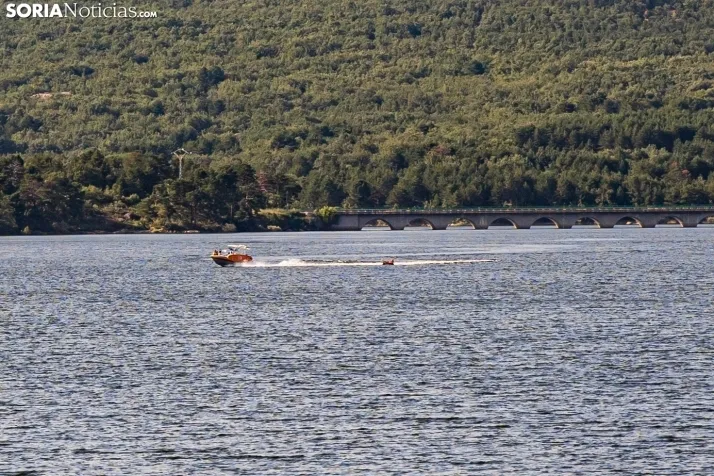 Verano en el pantano 2025./ Viksar Fotografía