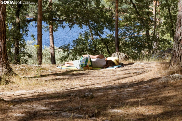 Verano en el pantano 2025./ Viksar Fotografía