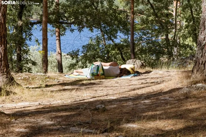 Verano en el pantano 2025./ Viksar Fotografía