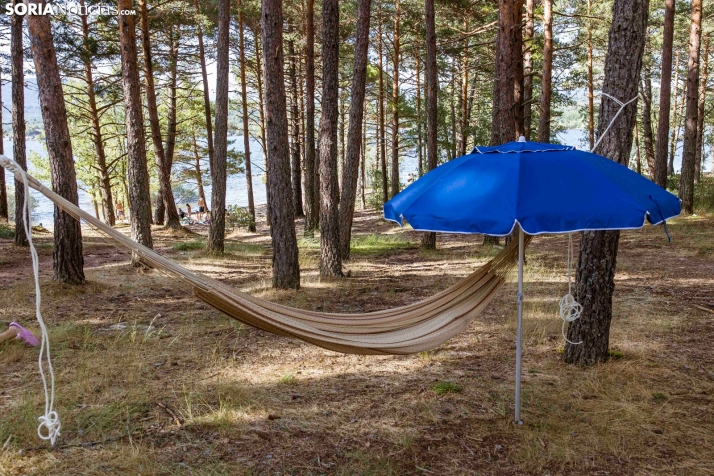 Verano en el pantano 2025./ Viksar Fotografía