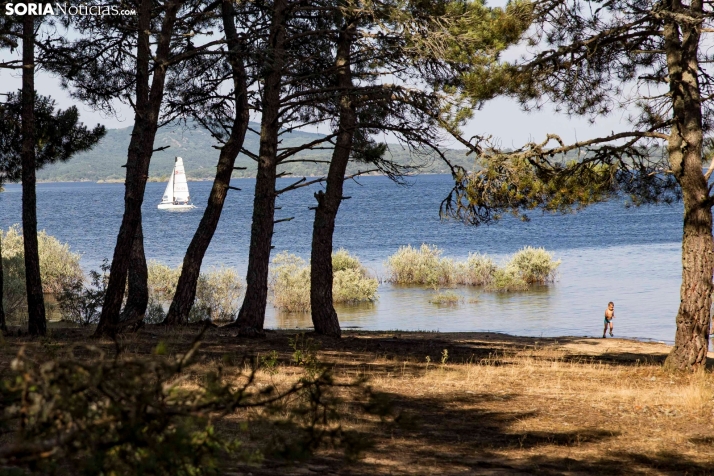 Verano en el pantano 2025./ Viksar Fotografía
