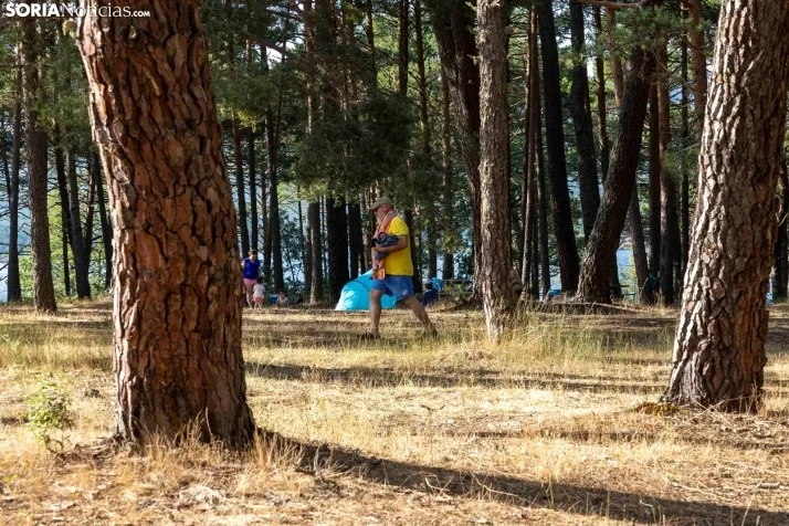 Verano en el pantano 2025./ Viksar Fotografía