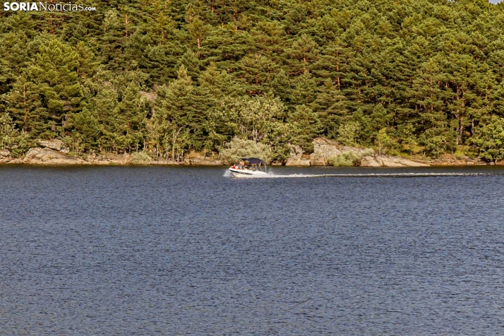 Verano en el pantano 2025./ Viksar Fotografía