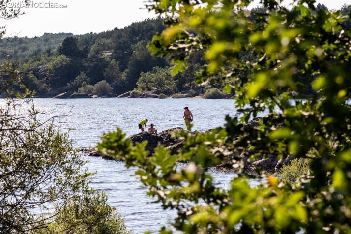 Verano en el pantano 2025./ Viksar Fotografía