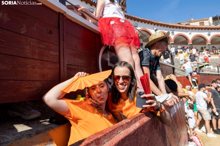 Tarde novilleril del Viernes de Toros 2025. Viksar Fotografía