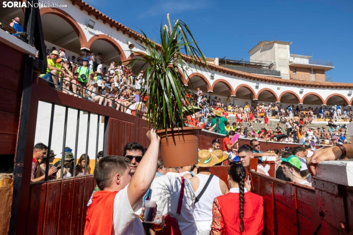 Tarde novilleril del Viernes de Toros 2025. Viksar Fotografía