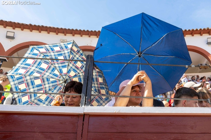 Tarde novilleril del Viernes de Toros 2025. Viksar Fotografía