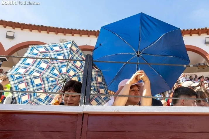 Tarde novilleril del Viernes de Toros 2025. Viksar Fotografía