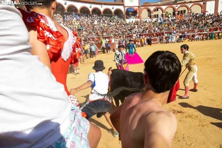 Tarde novilleril del Viernes de Toros 2025. Viksar Fotografía