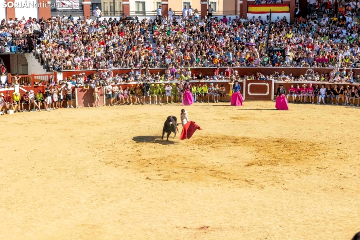Tarde novilleril del Viernes de Toros 2025. Viksar Fotografía