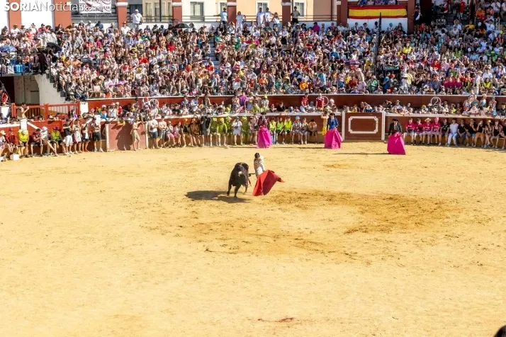 Tarde novilleril del Viernes de Toros 2025. Viksar Fotografía