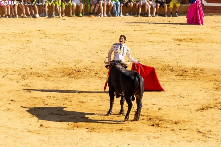 Tarde novilleril del Viernes de Toros 2025. Viksar Fotografía