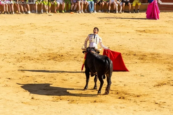 Tarde novilleril del Viernes de Toros 2025. Viksar Fotografía