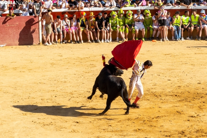 Tarde novilleril del Viernes de Toros 2025. Viksar Fotografía