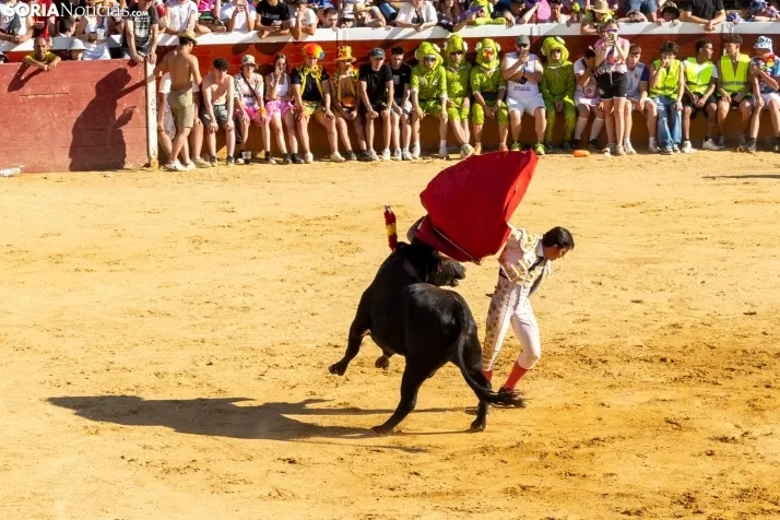 Tarde novilleril del Viernes de Toros 2025. Viksar Fotografía