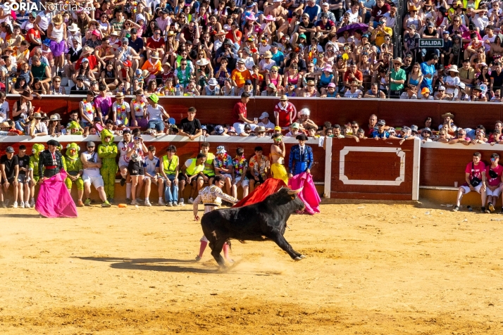 Tarde novilleril del Viernes de Toros 2025. Viksar Fotografía