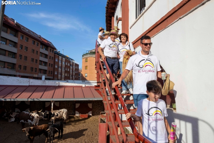 Tarde novilleril del Viernes de Toros 2025. Viksar Fotografía