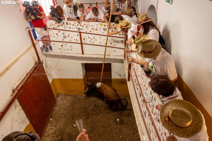 Tarde novilleril del Viernes de Toros 2025. Viksar Fotografía
