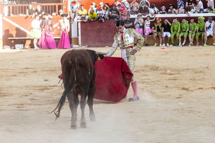 Tarde novilleril del Viernes de Toros 2025. Viksar Fotografía