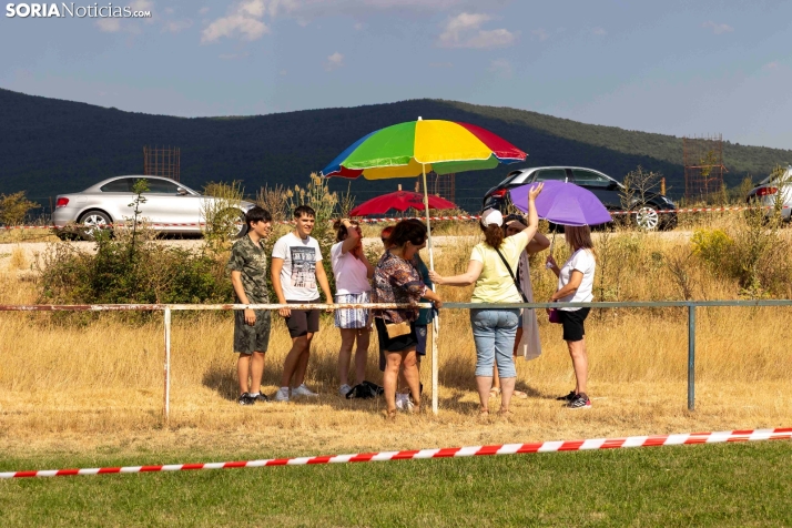 Vinuesa Wolf Race./ Viksar Fotografía