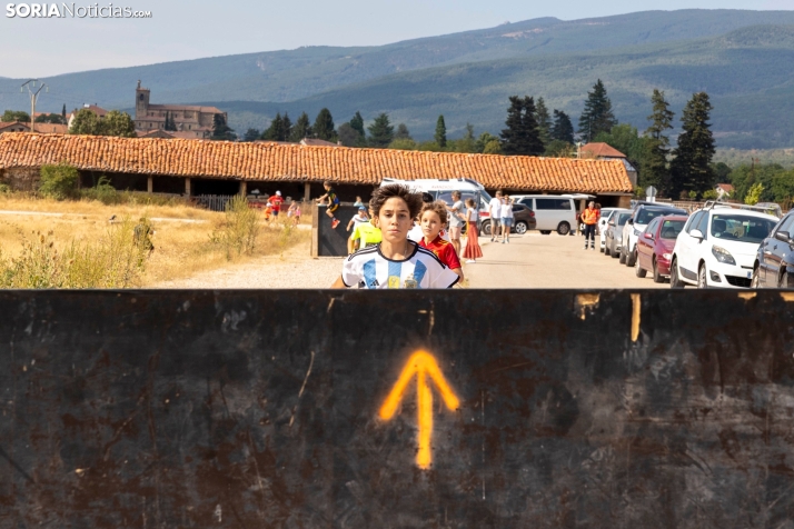 Vinuesa Wolf Race./ Viksar Fotografía