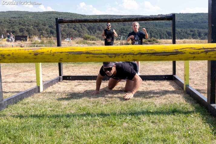 Vinuesa Wolf Race./ Viksar Fotografía