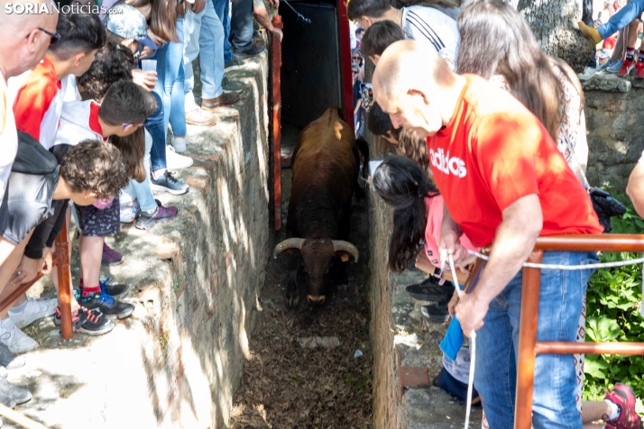 Desencajonamiento en Valonsadero 2025./ Viksar Fotografía