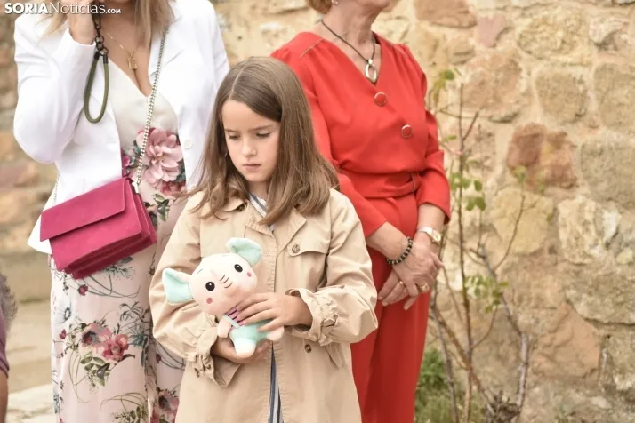 Romería de la Virgen de Valvanera en Fuentetoba. 