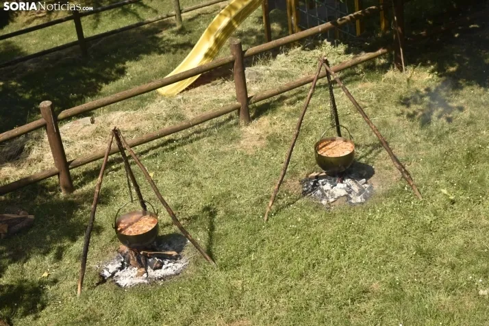 Fiesta de la Trashumancia 2025 en Oncala. /Encarna Muñoz