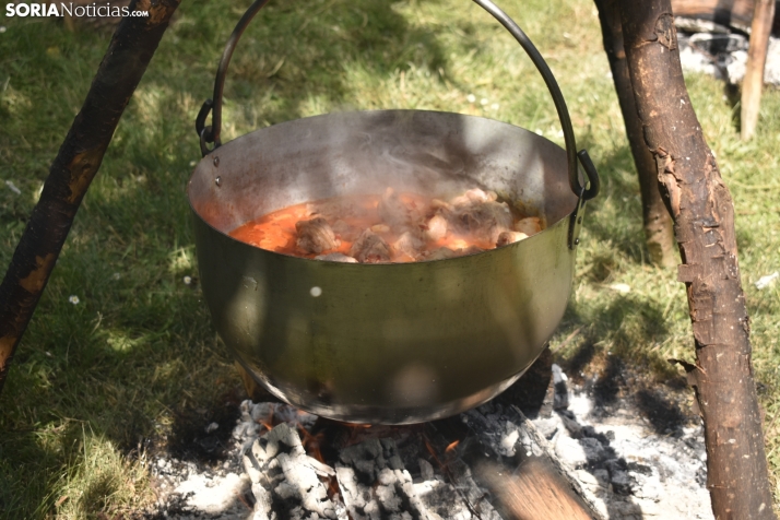 Fiesta de la Trashumancia 2025 en Oncala. /Encarna Muñoz