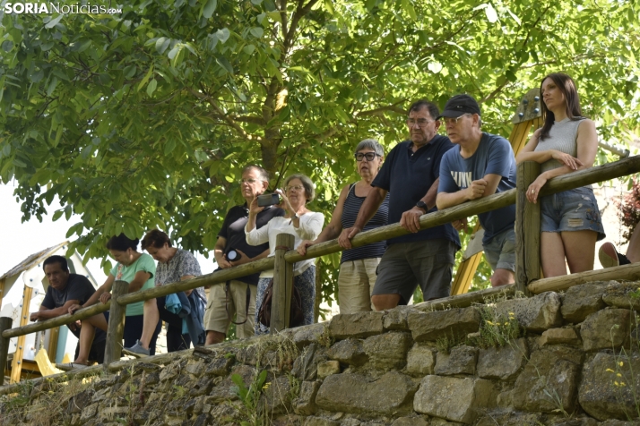 Fiesta de la Trashumancia 2025 en Oncala. /Encarna Muñoz