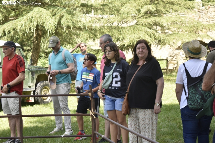 Fiesta de la Trashumancia 2025 en Oncala. /Encarna Muñoz