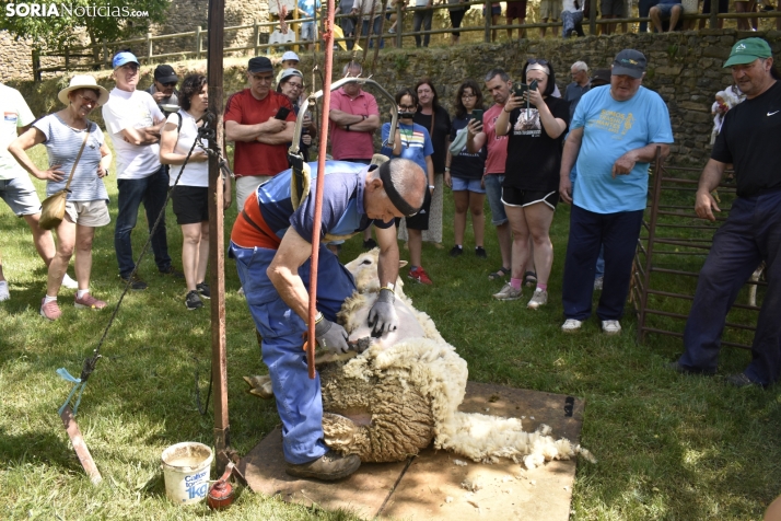 Fiesta de la Trashumancia 2025 en Oncala. /Encarna Muñoz