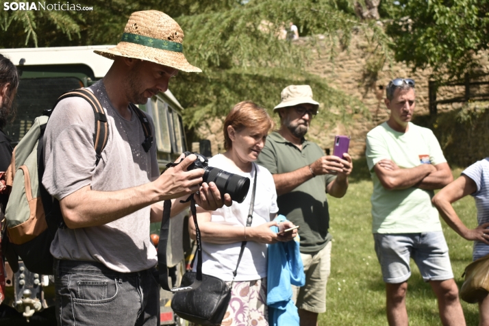Fiesta de la Trashumancia 2025 en Oncala. /Encarna Muñoz