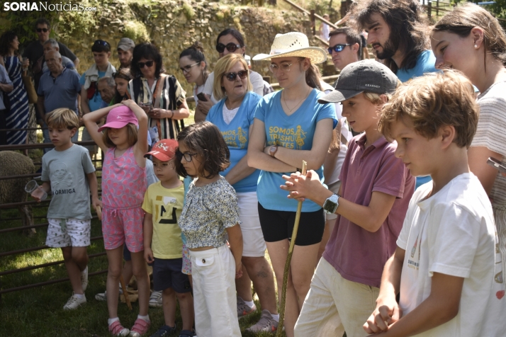 Fiesta de la Trashumancia 2025 en Oncala. /Encarna Muñoz