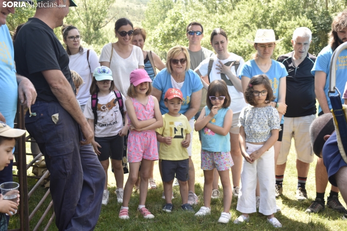 Fiesta de la Trashumancia 2025 en Oncala. /Encarna Muñoz